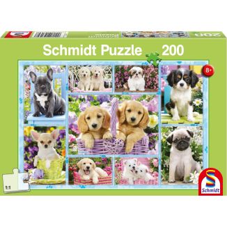 Vorderseite der Verpackung vom Artikel 56162, Welpen, 200 Teile Kinderpuzzle