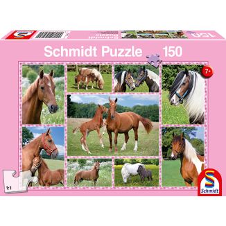 Vorderseite der Verpackung vom Artikel 56269, Pferdeträume, 150 Teile Kinderpuzzle