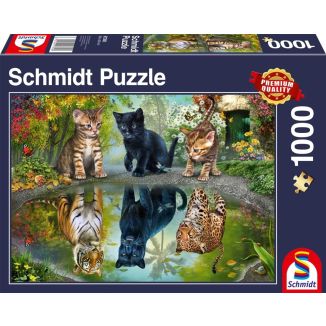 Vorderseite der Verpackung vom Artikel 57392, Dream Big!, 1.000 Teile Puzzle Vorderseite der Verpackung vom Artikel 57392, Dream Big!, 1.000 Teile Puzzle