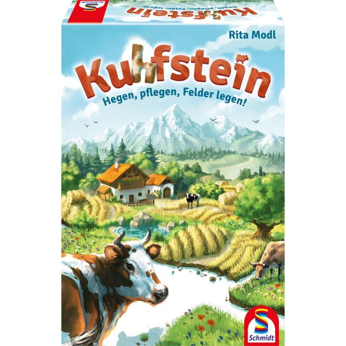Vorderseite der Verpackung vom Artikel 49440, Kuhfstein, Familienspiel